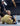 A young boy in a black rash guard and shorts smiles while being held on the ground by another boy in a yellow shirt inside a gym, with an instructor standing in the background.